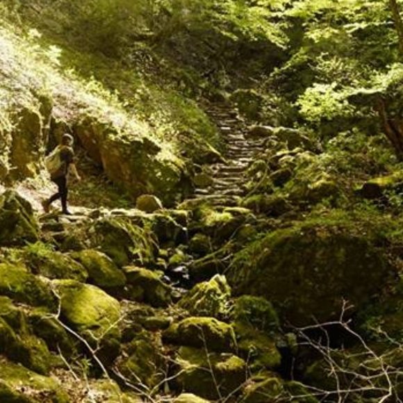 Meet your Posher, Sarah - Picture 1 of 1